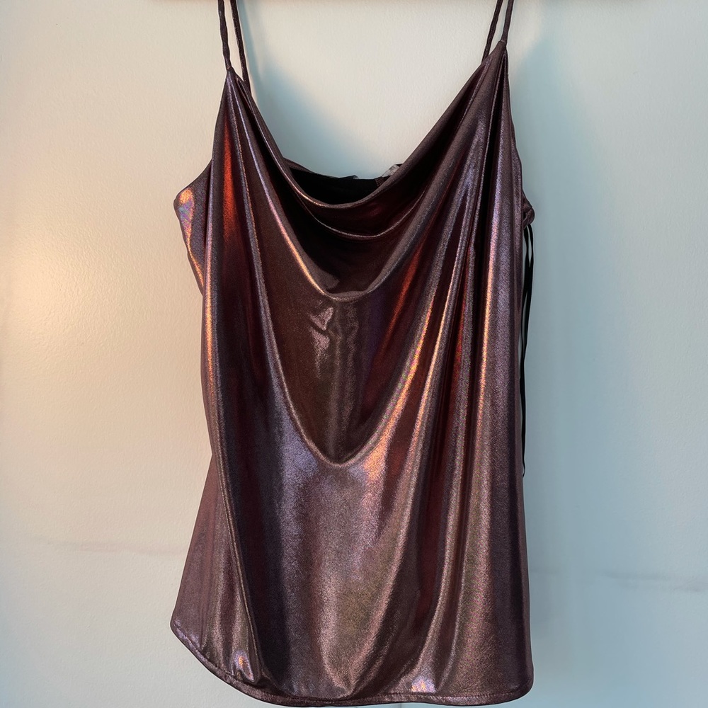 NWT Zara pink metallic tank top. Size small